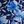 Blue Floral