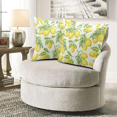 Lemon Pillow Covers Set of 2, Watercolor Fruit Farmhouse Cushion Decor