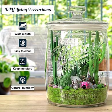 Large Glass Cookie Jar Set with Airtight Lids, Pantry Storage Canisters