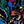 Black Multi