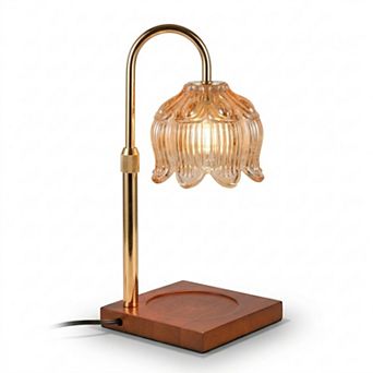 Candle Warmer Lamp Timer with 2 Bulbs Dimmer Adjustable Height Birthday Gifts Women