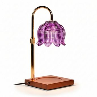 Candle Warmer Lamp Timer with 2 Bulbs Dimmer Adjustable Height Birthday Gifts Women
