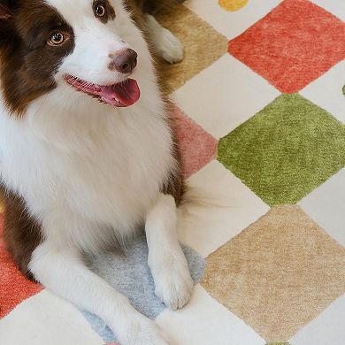 Colorful Checkered Circus Area Rug for Kids Room Playroom Bedroom Soft Washable Non-Slip Carpet