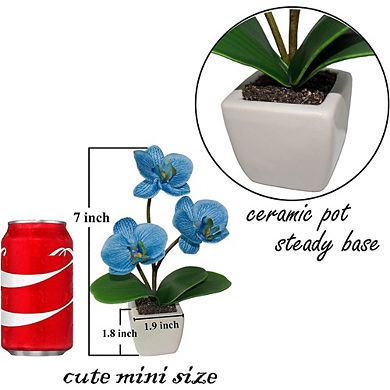 Set of 4 Mini Artificial Orchid Plants in Ceramic Pots, Home & Office Decor