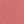 Sugar Coral
