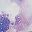Tie Dye Lavender