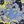 Paint Yellow Blue