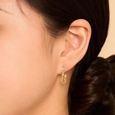 Fremada 14k Gold Rope Chain Earrings