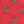 Red Holly Check