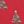 Red Trees