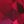 Created Ruby