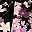 Black Red Pink