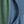 Denim Bluedark Green