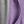 Light Greylight Purple