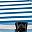 Blue White