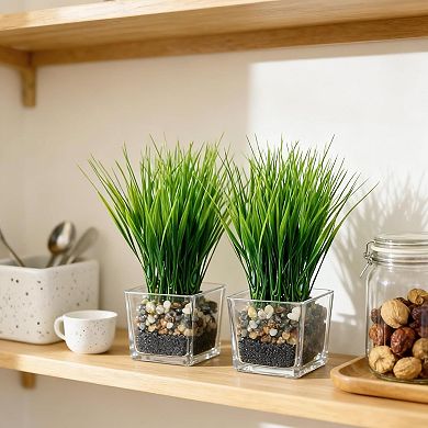 3 Pack Artificial Grass Plants in Square Clear Glass Pots with Faux Soil & Pebbles