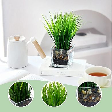 3 Pack Artificial Grass Plants in Square Clear Glass Pots with Faux Soil & Pebbles