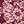 Burgundy Border