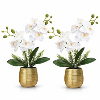 KSIZUIS 2 White Phalaenopsis Faux Orchids in Ceramic Vase, 13 in for Home Office Wedding