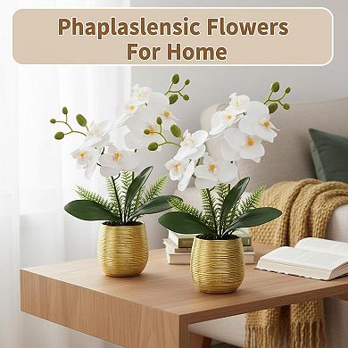 KSIZUIS 2 White Phalaenopsis Faux Orchids in Ceramic Vase, 13in, for Home Office Wedding