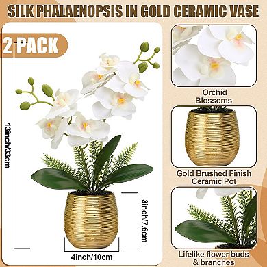KSIZUIS 2 White Phalaenopsis Faux Orchids in Ceramic Vase, 13in, for Home Office Wedding