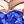 Blue Copper