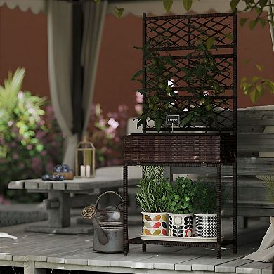 Rattan Plant Bed with Trellis and Storage Shelf for Vegetables, Herbs with storage basket