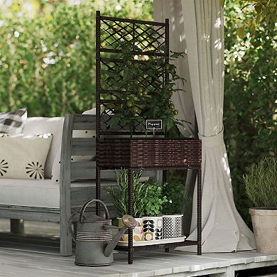 Rattan Plant Bed with Trellis and Storage Shelf for Vegetables, Herbs with storage basket