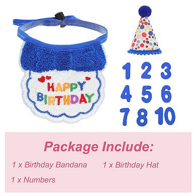 Cat Birthday Decorations Hat Bandana Number Outfit Party 1 Set