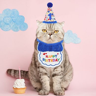 Cat Birthday Decorations Hat Bandana Number Outfit Party 1 Set
