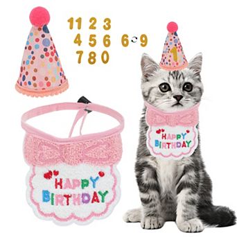 Cat Birthday Decorations Hat Bandana Number Outfit Party 1 Set