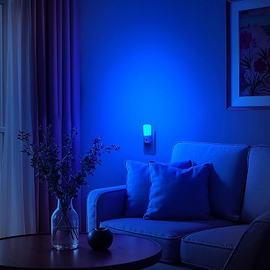 1W Integrated LED Dimmable Plug In Night Light Blue 5000K Acrylic Cover Dusk to Dawn White 2 Pack