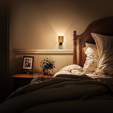 1W Integrated LED Plug In Night Light Amber 2700K Shade Slide Adjustable Dusk to Dawn 2 Pack