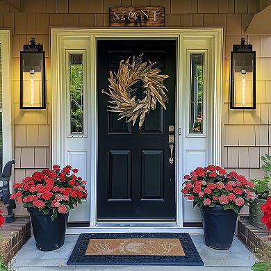 22in Outdoor Wall Sconce, Matte Black, Clear Glass, Dusk to Dawn Sensor, Bulbs Included, 2 Pack