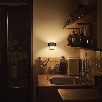 1 Light Black Dimmable LED Night Light Plug in with Dusk to Dawn Soft White 3000K for Bedroom 2-Pack
