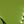 Grass Green