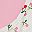 Pink Multi