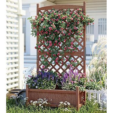 Wooden Raised Garden Bed 61" with Trellis, Wheels, Drainage for Herbs & Flowers, 1 Pack