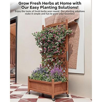 Wooden Raised Garden Bed 61" with Trellis, Wheels, Drainage for Herbs & Flowers, 1 Pack