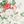 Bettina Bloom