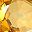 Genuine Citrine