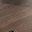 Black Walnut