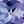 Genuine Tanzanite