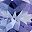 Genuine Tanzanite