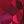 Created Ruby