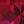 Created Ruby