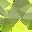 Peridot