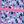 Colrful Cheetah Blue