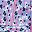 Colrful Cheetah Blue