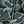 Pop Camo Gray